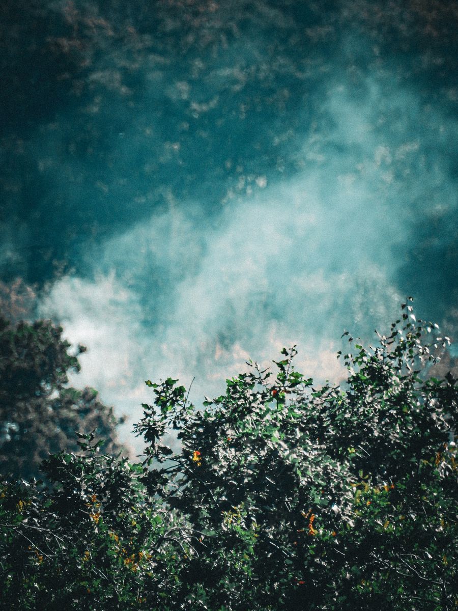 vape battery