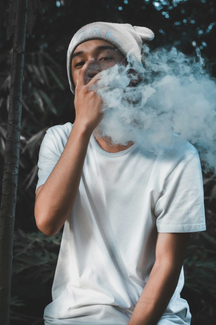 vape pen